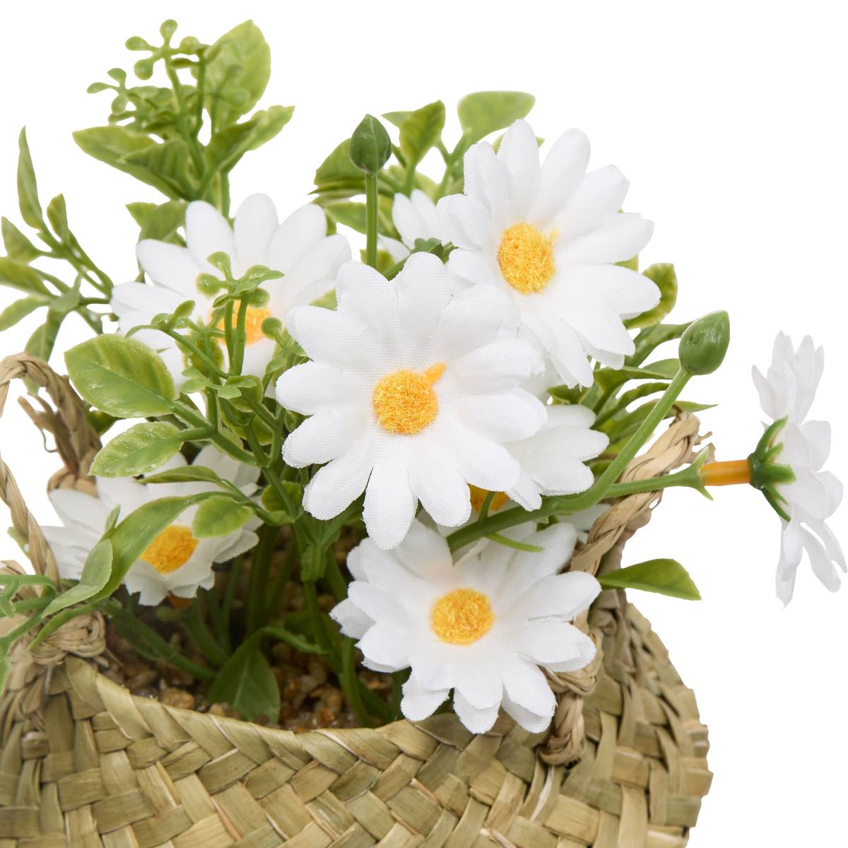 Arreglo Floral “Tifi”