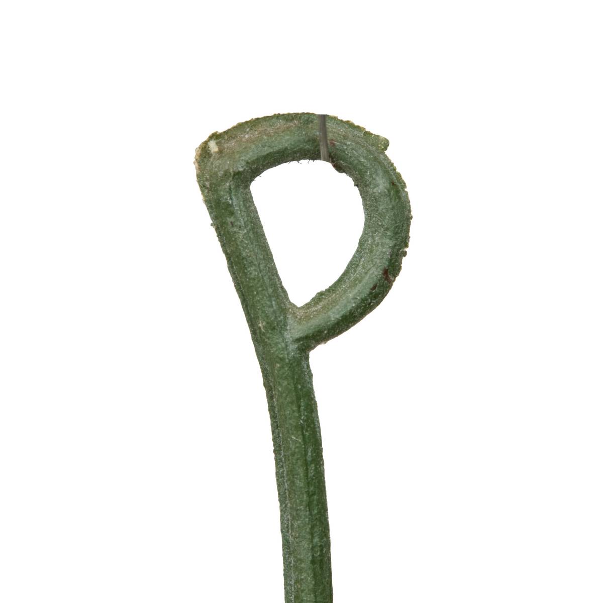 Flor artificial “Obia”