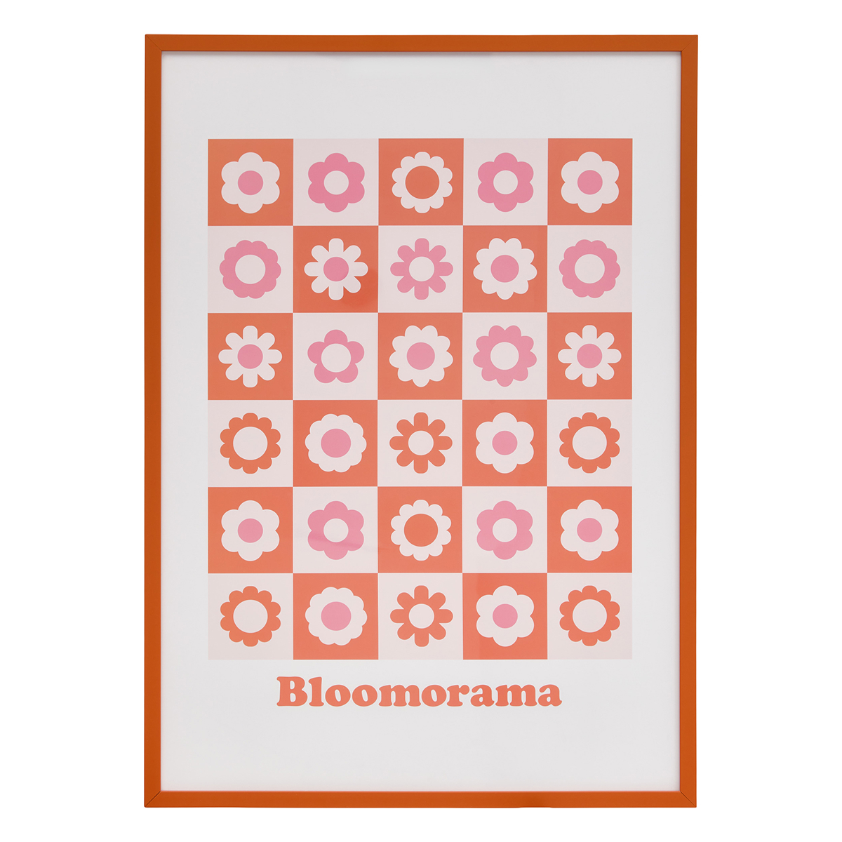 Lámina enmarcada “Bloomorama” 70×50 cm