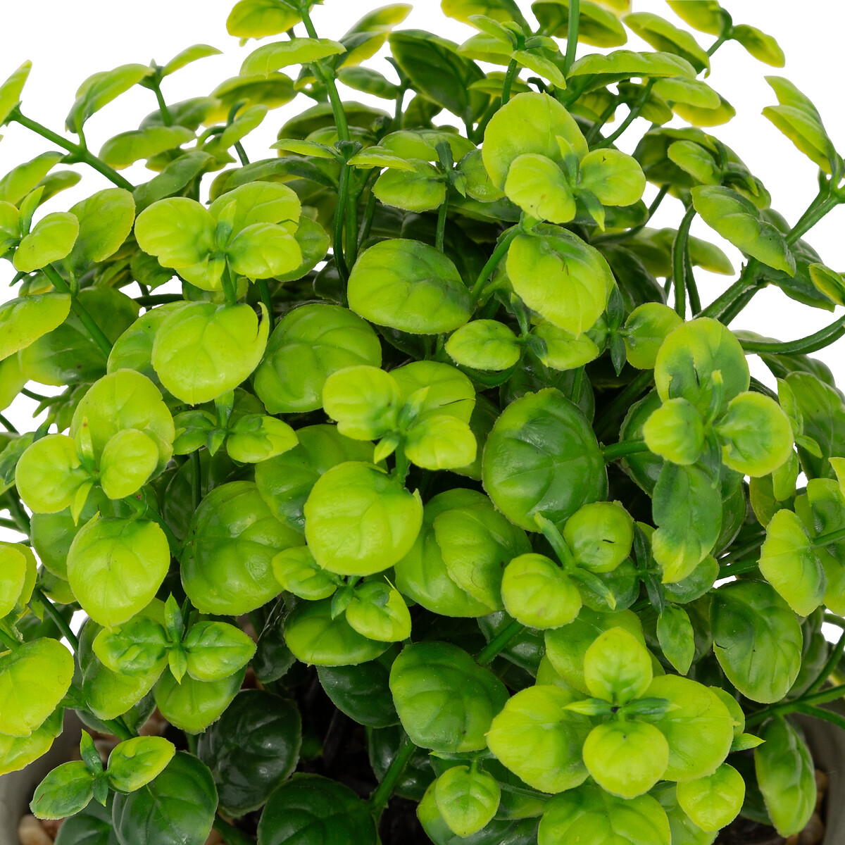 Planta artificial en maceta “Dusty”