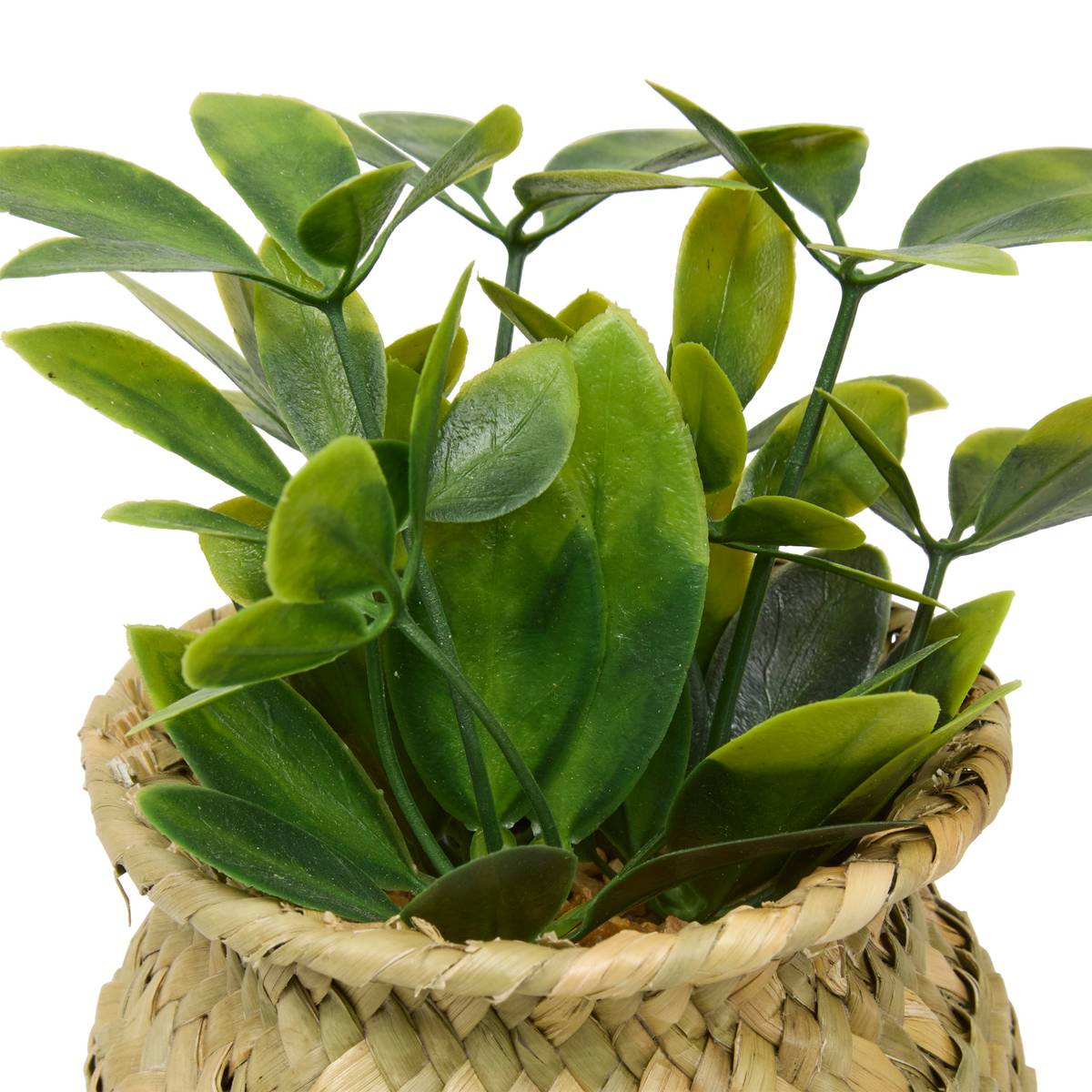 Planta artificial en maceta “Jil”